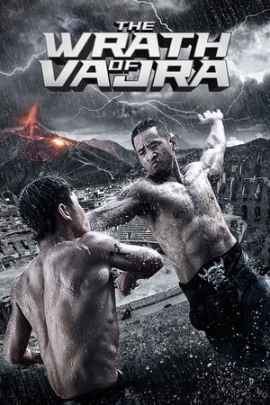 The Wrath Of Vajra 2013 Dual Audio