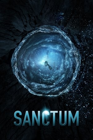 Sanctum 2011 Dual Audio