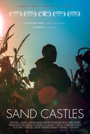 Sand Castles 2014 Dual Audio