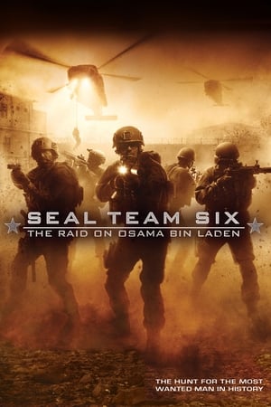 Seal Team Six: The Raid on Osama Bin Laden 2012 Dual Audio