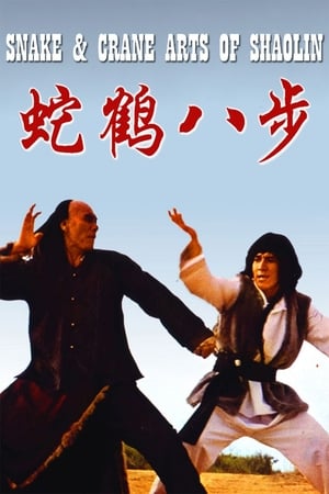 Snake and Crane Arts of Shaolin 1978 Dual Audio