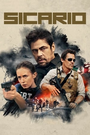 Sicario 2015 Dual Audio