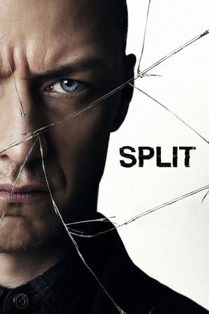 Split 2016 Dual Audio