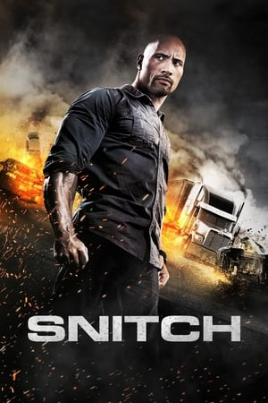 Snitch 2013 Dual Audio