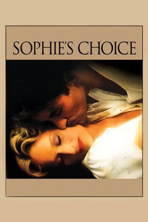Sophie's Choice 1982 Dual Audio