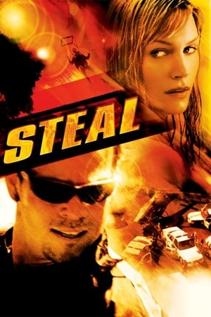 Steal (Riders) 2002 Dual Audio
