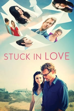 Stuck in Love 2013 dual Audio