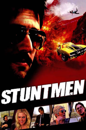 Stuntmen 2009 Dual Audio