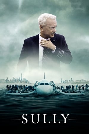 Sully 2016 Dual Audio