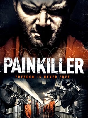 Painkiller 2013 Dual Audio