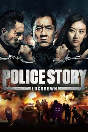 Police Story: Lockdown 2013 Dual Audio