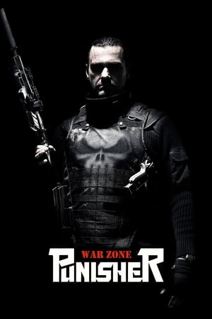 Punisher: War Zone 2008 Dual Audio