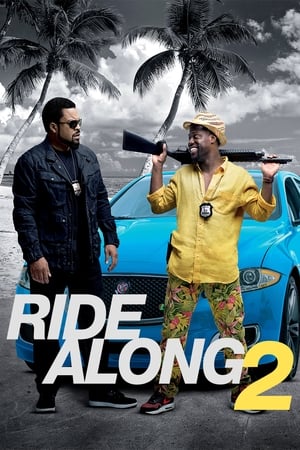 Ride Along 2 2016 Dual Audio