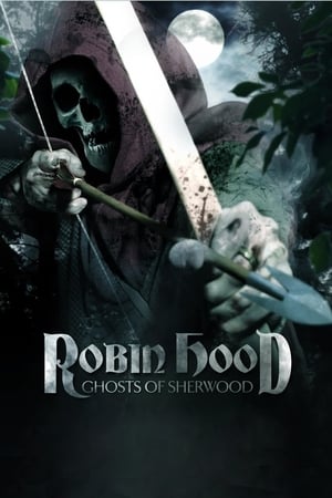 Robin Hood: Ghosts of Sherwood 2012 Dual Audio