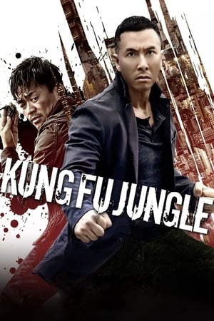Kung Fu Jungle 2014 Dual Audio