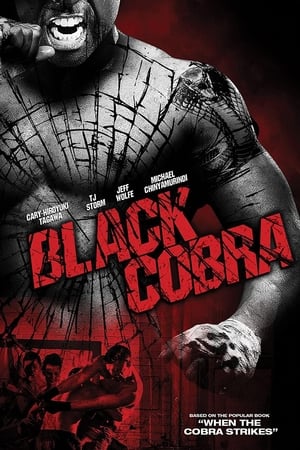 Black Cobra 2012 Hindi Dual Audio