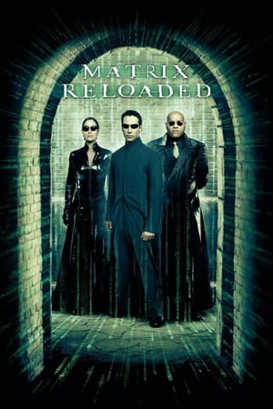 The Matrix Reloaded 2003 dual audio