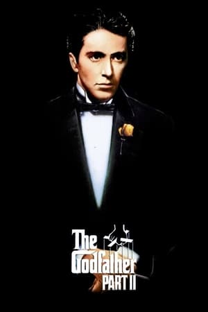 The Godfather: Part II 197d Dual audio