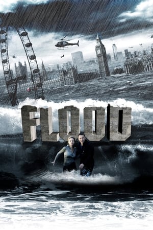 Flood 2007 dual audio