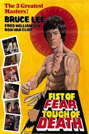 Fist of Fear, Touch of Death 1980 dual audio