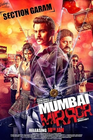 Mumbai Mirror 2013