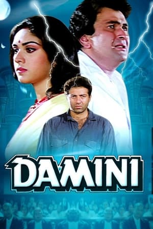 Damini 1993