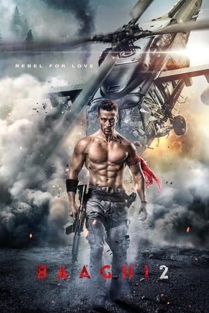 Baaghi 2 2018