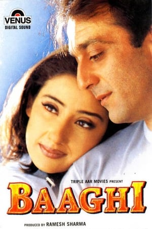 Baaghi 2000