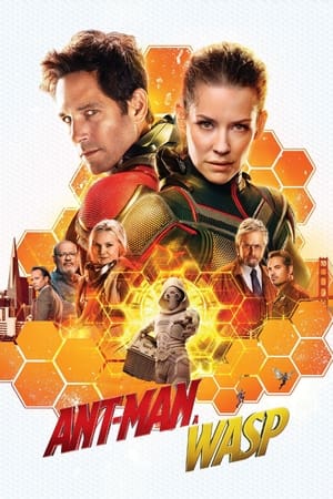 Ant-Man and the Wasp 2018 Dual Audio