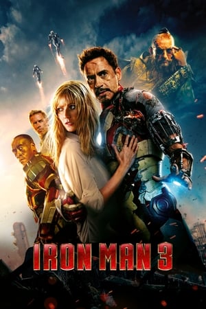 Iron Man 3 2013 Dual Audio