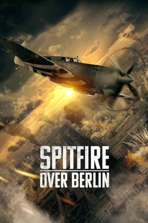 Spitfire Over Berlin 2022 BRRip