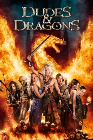 Dudes & Dragons (2015) Dual Audio Hindi