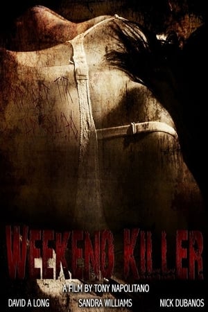 Weekend Killer (2011) Dual Audio Hindi
