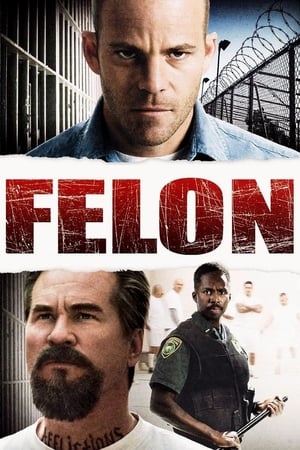 Felon 2008 Dual Audio