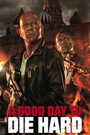 A Good Day to Die Hard 2013 Dual Audio