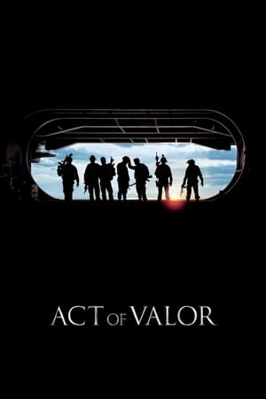 Act of Valor 2012 Dual Audio