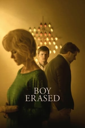 Boy Erased 2018 Dual Audio