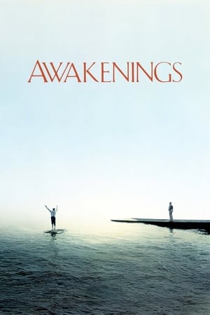 Awakenings 1990 Dual Audio