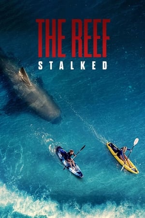 The Reef: Stalked 2022 BRRip