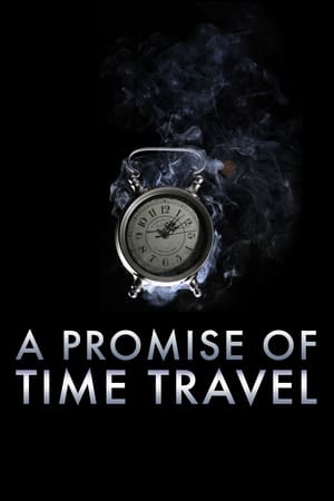 A Promise of Time Travel 2016 DUAL AUDIO