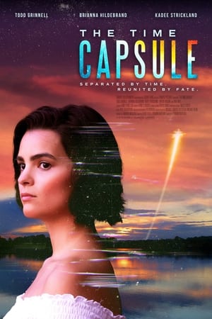 The Time Capsule 2022 BRRip