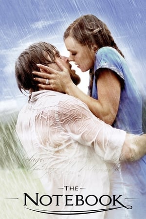 The Notebook 2004 Dual Audio