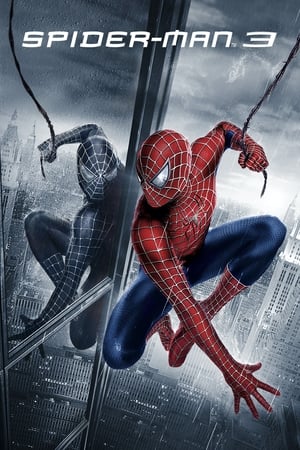 Spider-Man 3 2007 Dual Audio