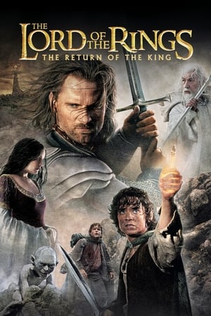 The Lord of the Rings: The Return of the King 2003 dual audio