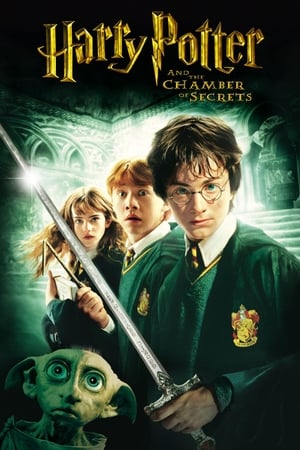 Harry Potter and the Chamber of Secrets 2002 Dual Audio