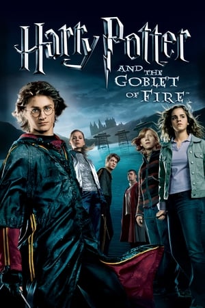 Harry Potter and the Goblet of Fire 2005 Dual Audio