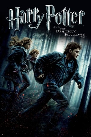 Harry Potter and the Deathly Hallows: Part 1 2011 Dual Audio