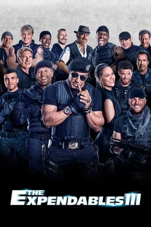 The Expendables 3 2014 Dual Audio