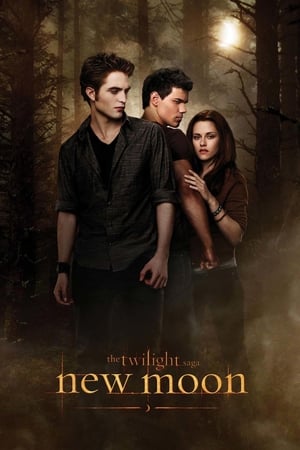The Twilight Saga: New Moon 2009 Dual Audio