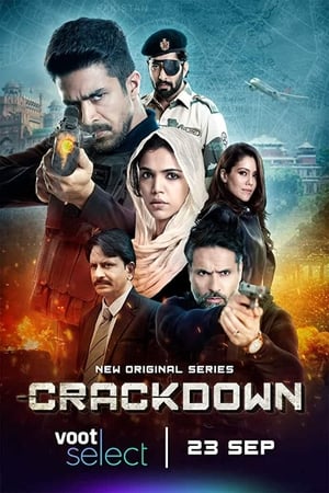 Crackdown S01 2020 Hindi Web Series